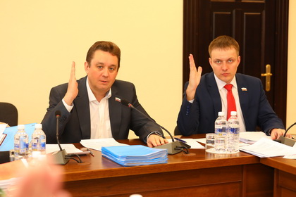 Законопроекты о поддержке многодетных семей рекомендованы к принятию в окончательном чтении